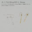 画像8: シンプルピアス　Shinme（しんめ）真鍮ピアス Brass Brass pierce ピアス Pierce 真鍮 14kgfフック (8)