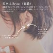 画像3: シンプルピアスEbi（えび）真鍮ピアス Brass 14kgf pierce ピアス ポスト 真鍮アクセサリー (3)